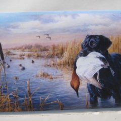 cdo9ia6-duck-hunting-backgrounds